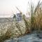 Tiny House am Meer