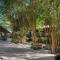 Port Barton - Paradiso Azul Campsite Beachfront with Internet