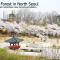 Stay in North Seoul