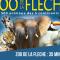 Cocon zen du clocher - SOnights