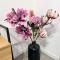Appartement au pied des Vignes - 沃恩-罗曼尼