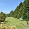 Lackandarralodge large 5BR entire house sleeps14! - 邓加文