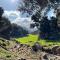 Gite Ain Bechar - 塔扎