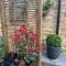 Priory Tearooms Burford with Rooms