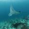 Coriana Dive Resort