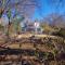 Healthy Greenery - Urban Retreat in Rock Hill