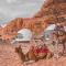 Allen Luxury Wadi Rum