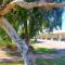 Bayview Motel
