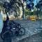 Apartamentos Princicassim Amanecer en benicasim - 贝尼卡西姆