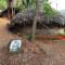 Bindhya Huts