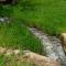 The Good Host