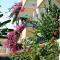 Minoica Beach Apartments