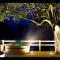 Hotel Pucon Green Park Hotel Pucon Green Park