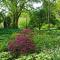 TePopo Gardens Rural Retreat