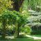 TePopo Gardens Rural Retreat