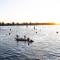 3 Anglers Close - Mulwala