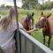 The Nicholson - A Delightful Family Escape Awaits - Mudgee
