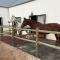 World of Horses Stables - Стелленбос
