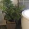 Our Little Hideaway Beechina