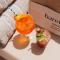 Barefoot Hotel Mallorca