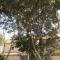 Villa by the Pyramids - 开罗