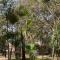 Villa by the Pyramids - 开罗