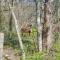 Eagles Nest Studio in Rising Fawn Creek Access - Rising Fawn
