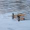 Abbey Holidays Loch Ness Luxury Self Catering 2 Bedroom Cottages