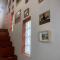 Camelia Apartment