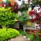 Akagera Neighbors