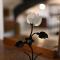 Apartman studio Baladur