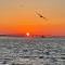 Coronado Get-AWAY at Fantasy Circle - South Padre Island