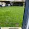 Studio cosy avec jardin Chatou