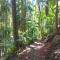 Entire Self-Contained Cabin on the Beautiful Mountain - Mount Tamborine
