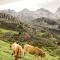 Casa Marian - Cangas de Onís