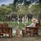 Tanda Tula Safari Camp - Timbavati Game Reserve