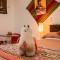 RumiUma Boutique Hotel