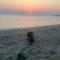 Sunset Serenity Cove (11)