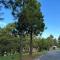 Crosswinds Condo Standard Suite - Ulat Segundo