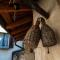La Casetta di Riva - Cozy home in lakeside village