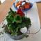 Obst- Und Ferienhof Marschall