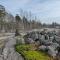 Helsinki's Caravan Adventureヅ - Helsinky