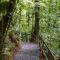 Cabañas Caeli, Peaceful Rainforest Retreat with Stunning Views
