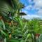 La Fortuna Rainforest Glass Cabin w/amazing views - Fortuna