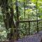 La Fortuna Rainforest Glass Cabin w/amazing views - Fortuna