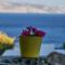 Cycladic Beach Houses