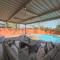 Beautiful Modern Home Pool for Groups and Families - 普莱诺