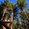 Silence Glamp - Glamping Bieszczady - 下乌斯奇基