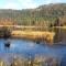 Chalet familial à La Bresse, proche randonnées, WIFI, animaux admis - FR-1-589-425