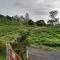 Green Home